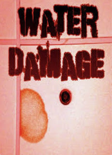 Water Damage DVD